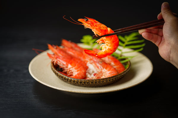 サイトオープン