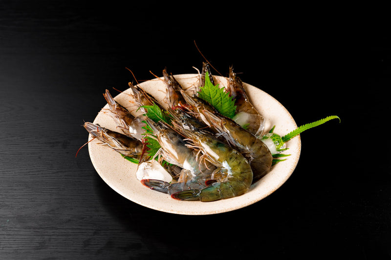 倉敷天領海老【20尾 500g】